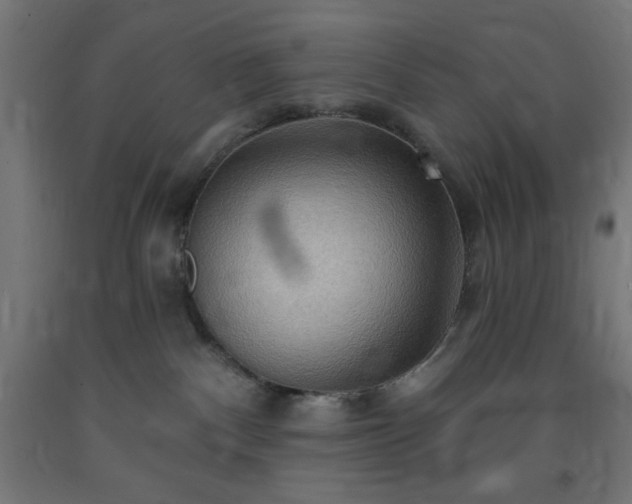 X0000093250140200710031612