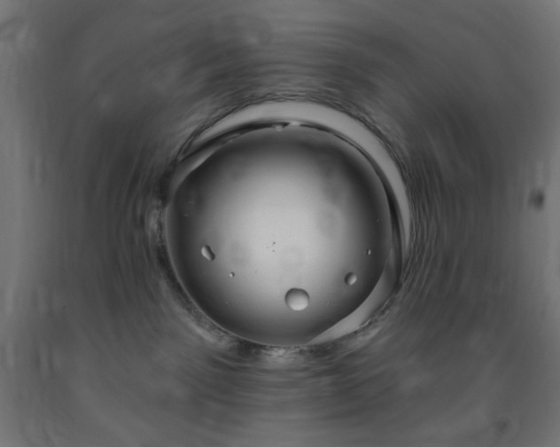 X0000093250141200710031612