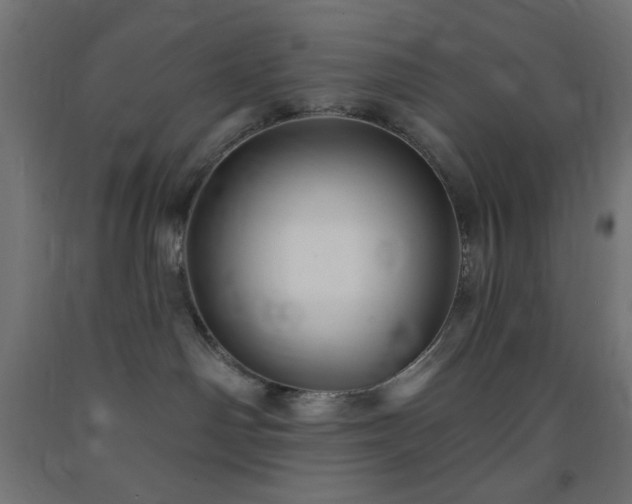 X0000093250142200710031612