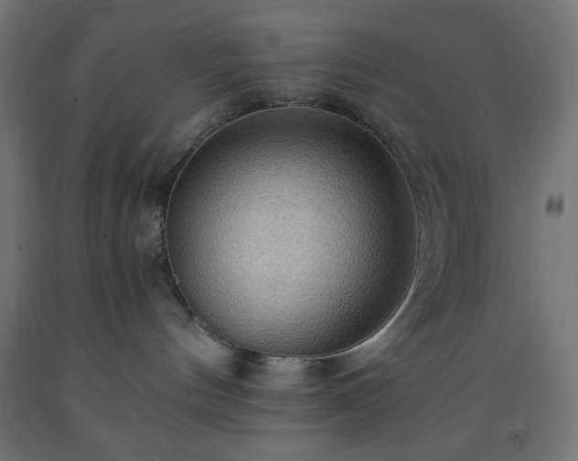 X0000093250144200710031612