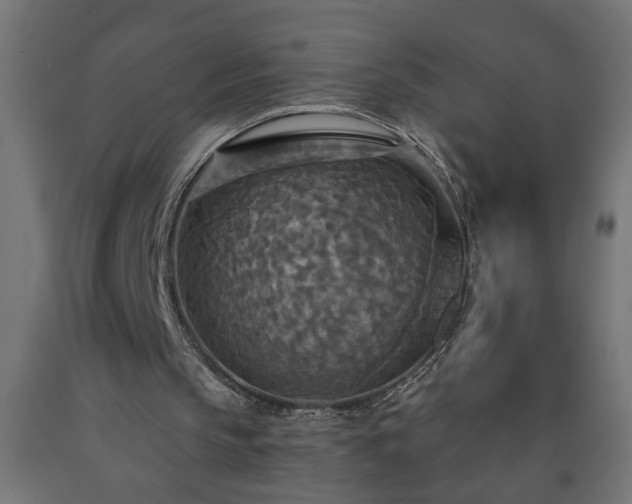 X0000093250145200710031611