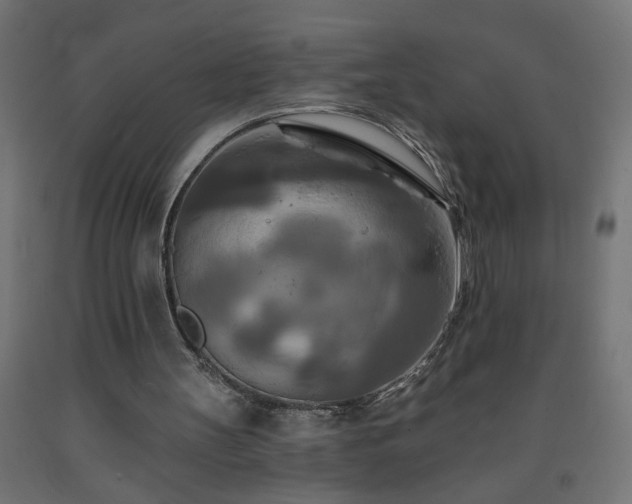 X0000093250147200710031611