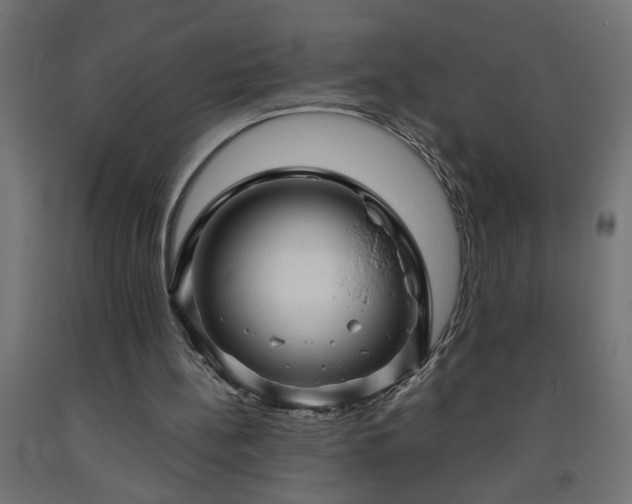 X0000093250148200710031611