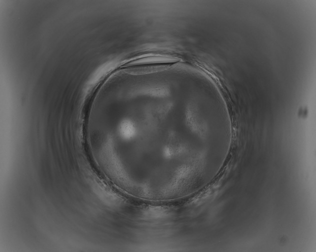 X0000093250149200710031611