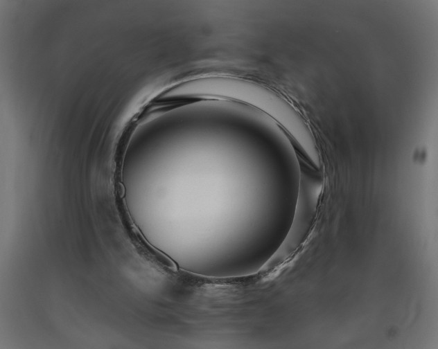 X0000093250150200710031611