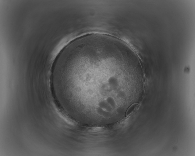 X0000093250151200710031611