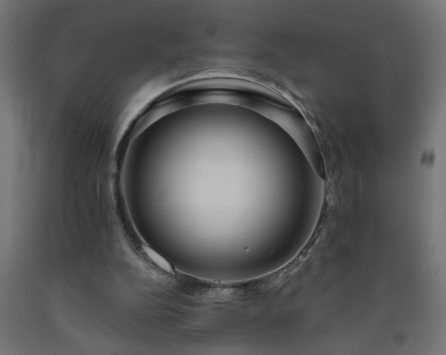 X0000093250152200710031611