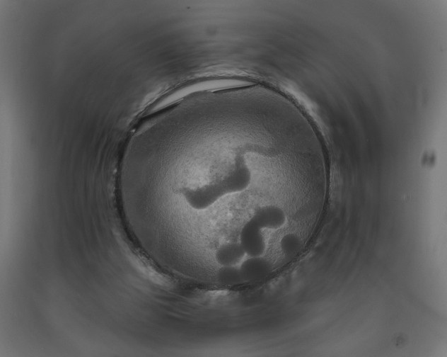 X0000093250153200710031611