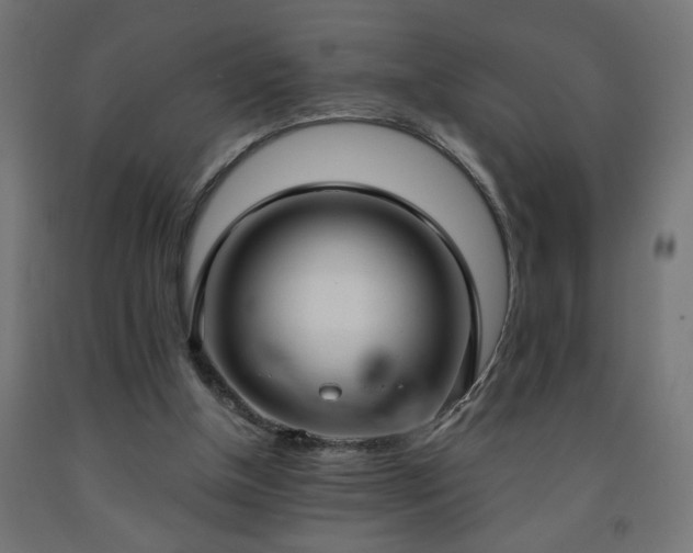 X0000093250154200710031611