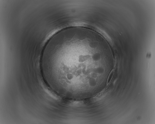 X0000093250155200710031611