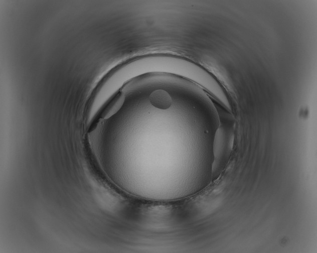 X0000093250156200710031611