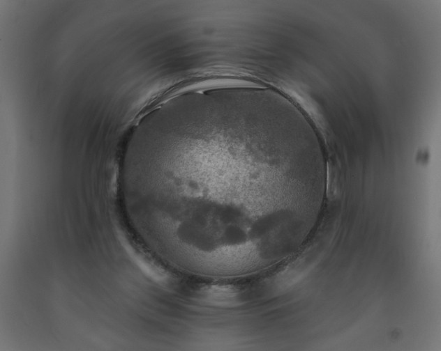 X0000093250157200710031611