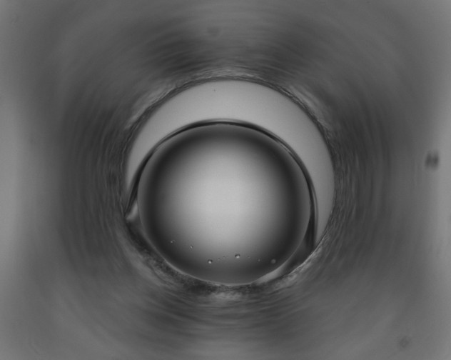 X0000093250158200710031611