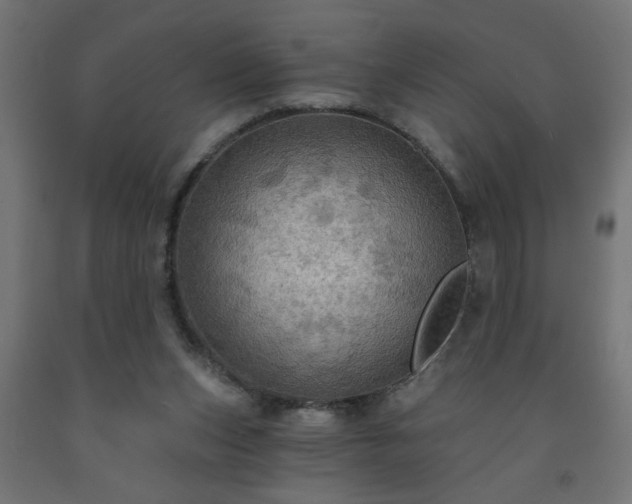 X0000093250159200710031611