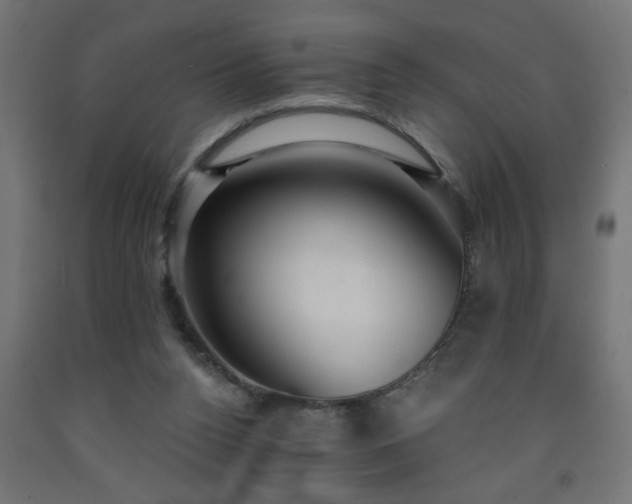 X0000093250160200710031611