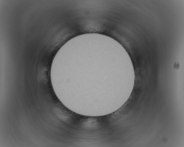 X0000093250162200710031611