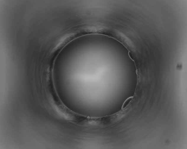 X0000093250163200710031611