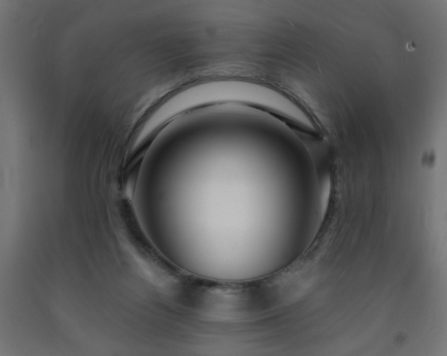 X0000093250164200710031611