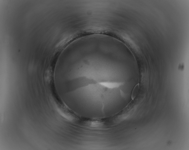 X0000093250165200710031611