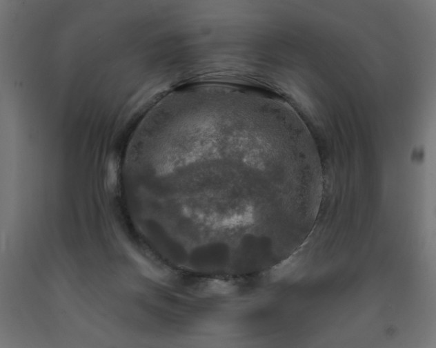 X0000093250166200710031611