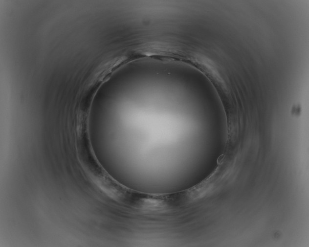 X0000093250167200710031611