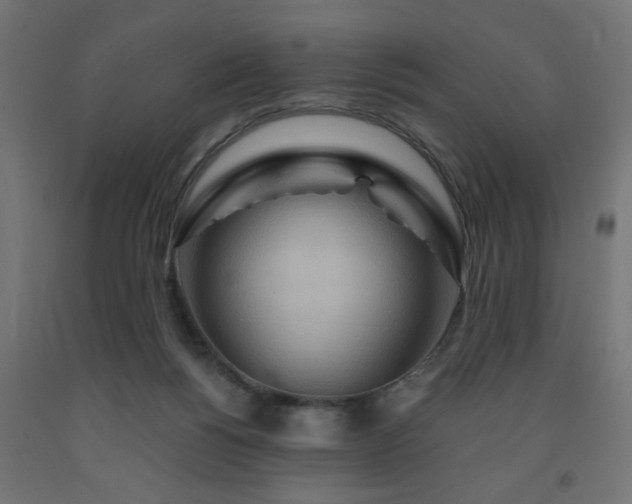 X0000093250168200710031611