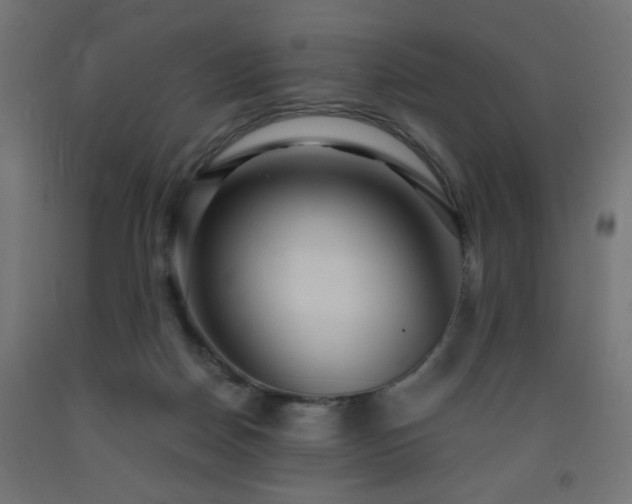 X0000093250170200710031611