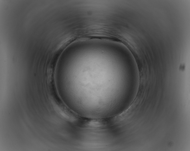 X0000093250171200710031611