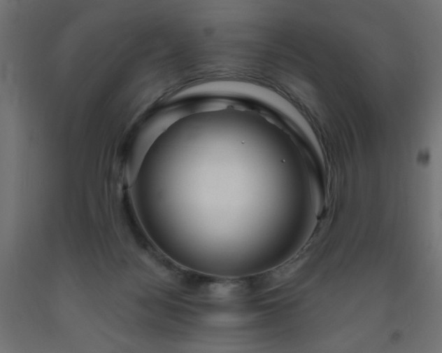 X0000093250172200710031611