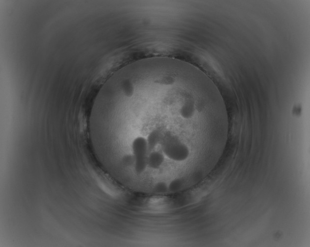 X0000093250173200710031611