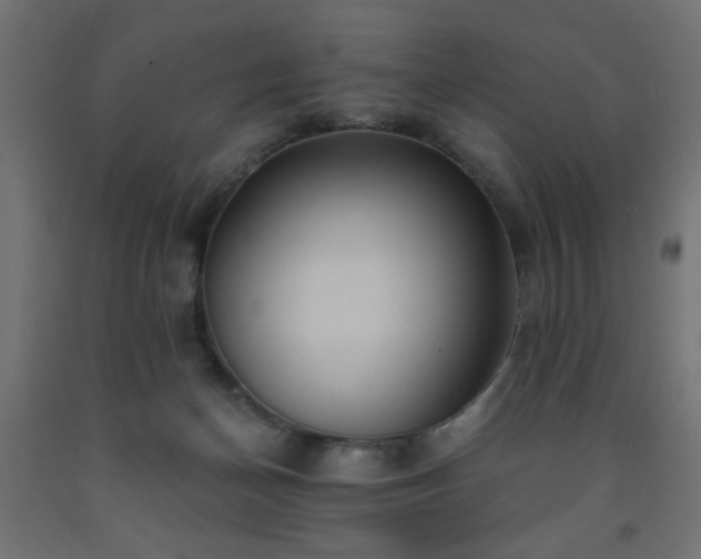 X0000093250174200710031611