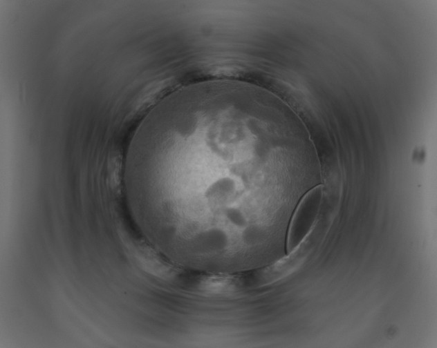 X0000093250175200710031611