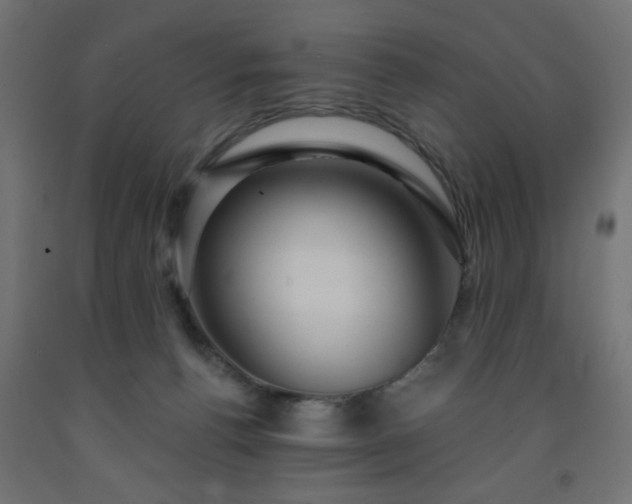 X0000093250176200710031611