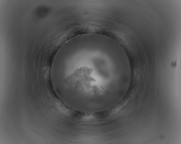 X0000093250177200710031611