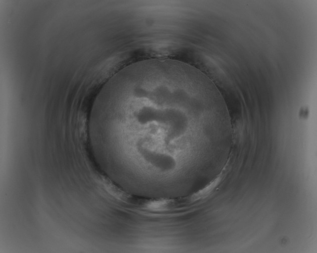 X0000093250178200710031611