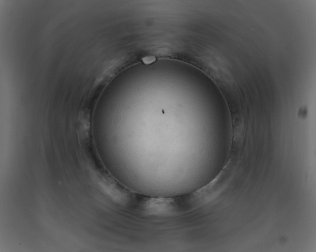 X0000093250179200710031611