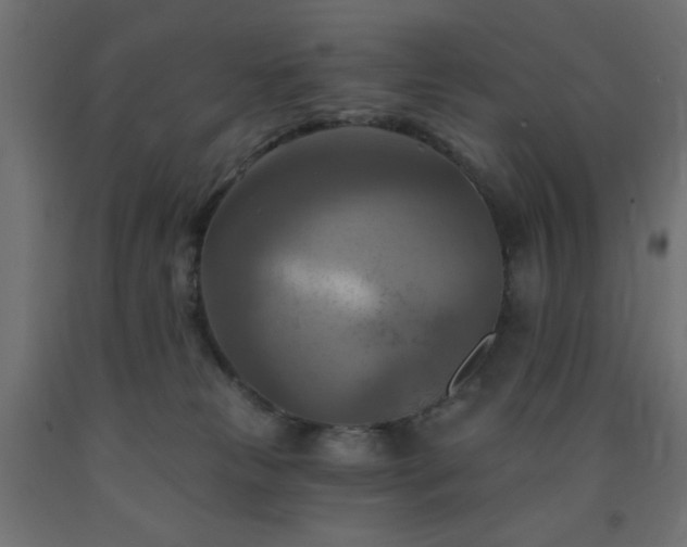 X0000093250181200710031611