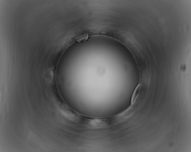 X0000093250183200710031611