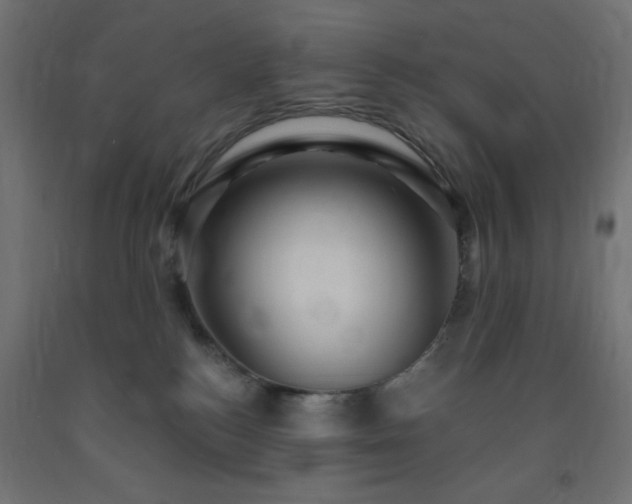 X0000093250184200710031611