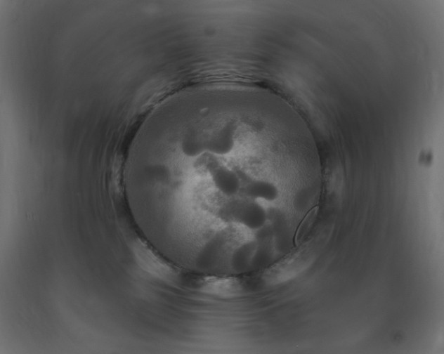 X0000093250185200710031611