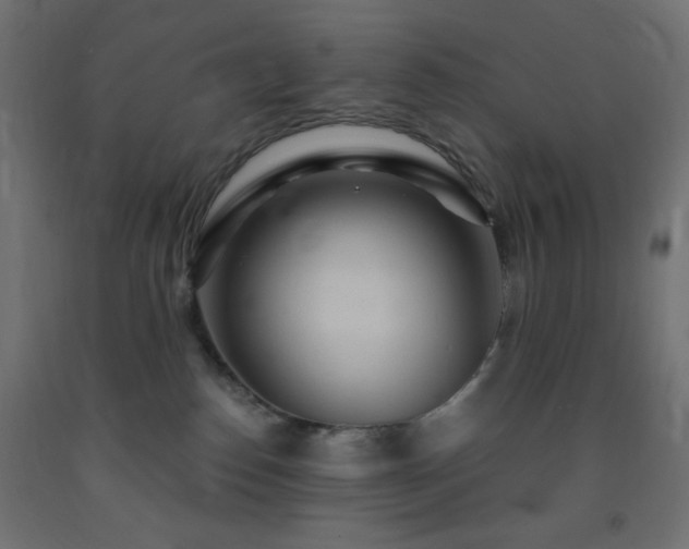 X0000093250186200710031611