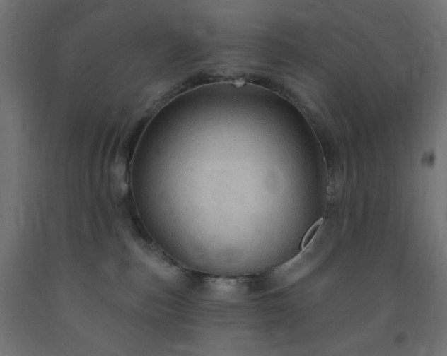 X0000093250187200710031611