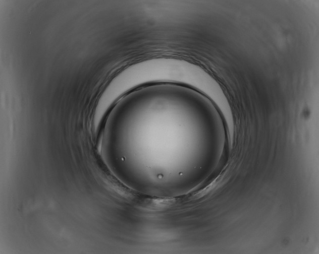 X0000093250188200710031611