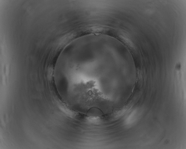 X0000093250189200710031612