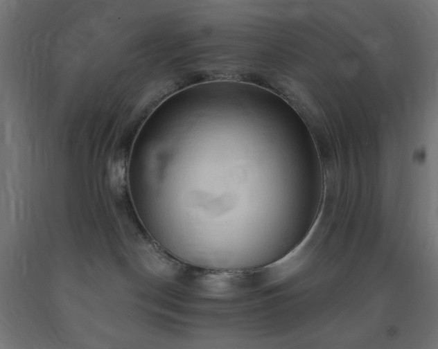 X0000093250190200710031612