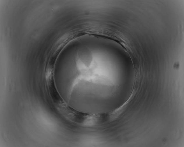 X0000093250191200710031612