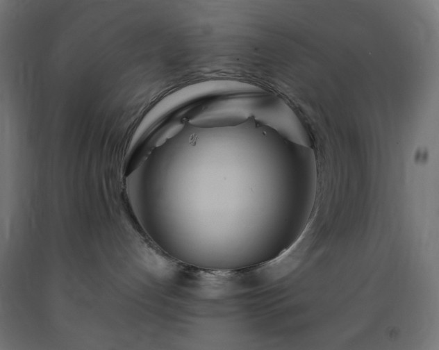 X0000093250192200710031612