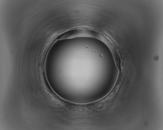 X0000093250193200710031611