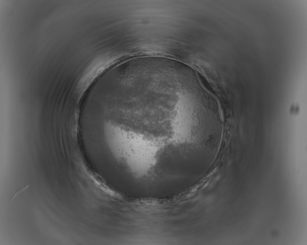 X0000093250194200710031611