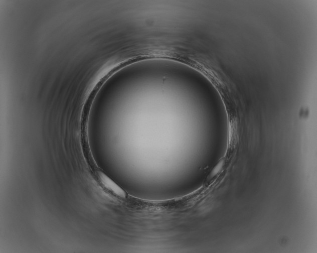 X0000093250195200710031611